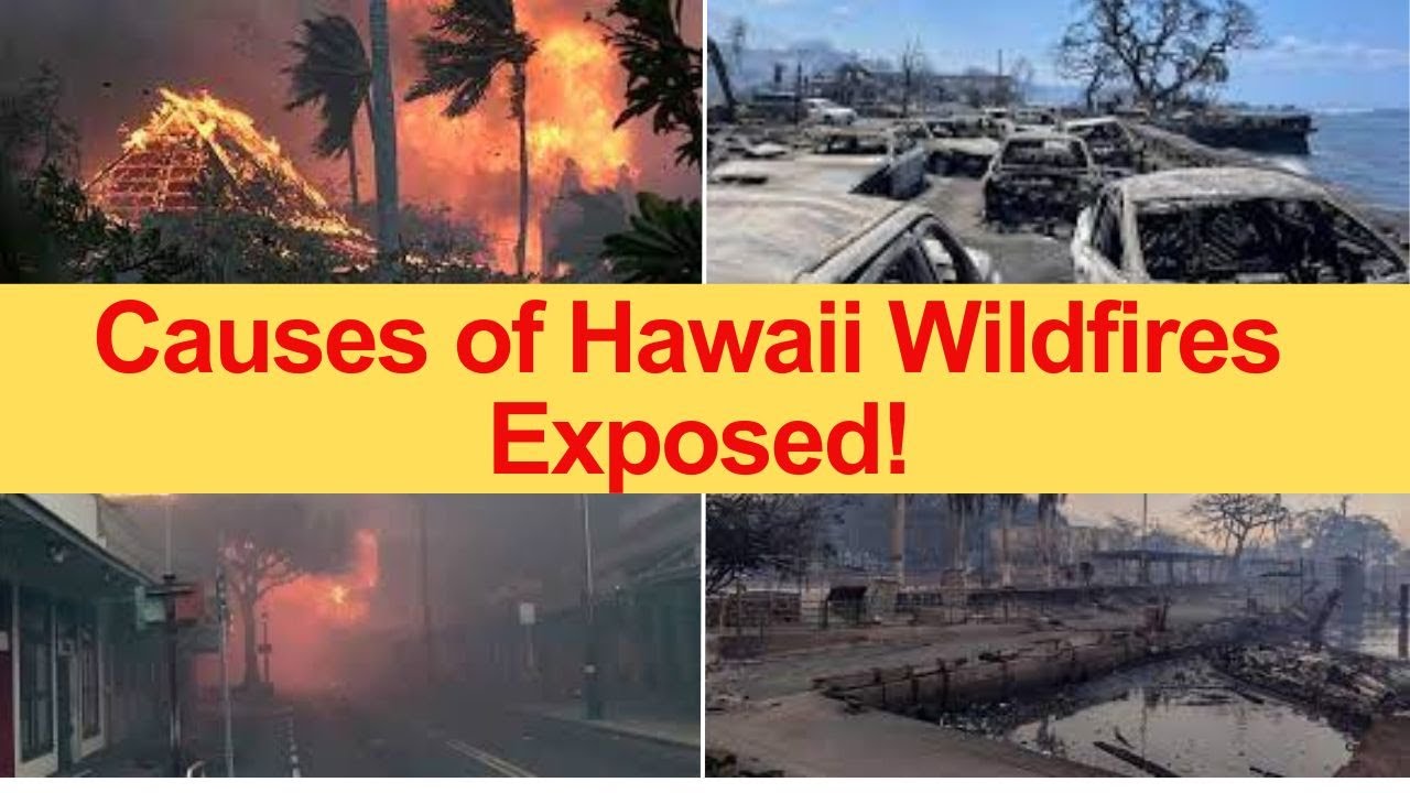 What caused the Hawaii wildfires? 