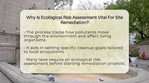 Why Is Ecological Risk Assessment Vital For Site Remediation? - Civil Engineering Explained