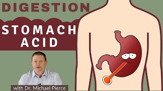Digestion Series  Basics of Stomach Acid Explained