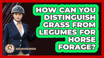 How Can You Distinguish Grass From Legumes For Horse Forage? - The Horses Stable