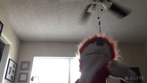 Matthew Griffith in florida