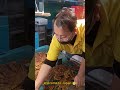 জাপান, লোকাল মার্কেট with big #crab