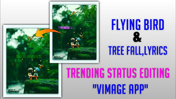 Flying Bird & Tree Fall Trending Status Editing | Vimage Video Editing | Flying Bird Status Editing