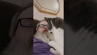 Kat massage attack