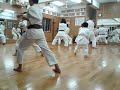 Okinawan Shorin Ryu Seibukan Karate Basic Techniques