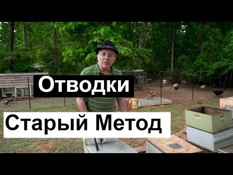 Видео: Пасека #71 Отводки -- Старый Метод | Пчеловодство для начинающих -