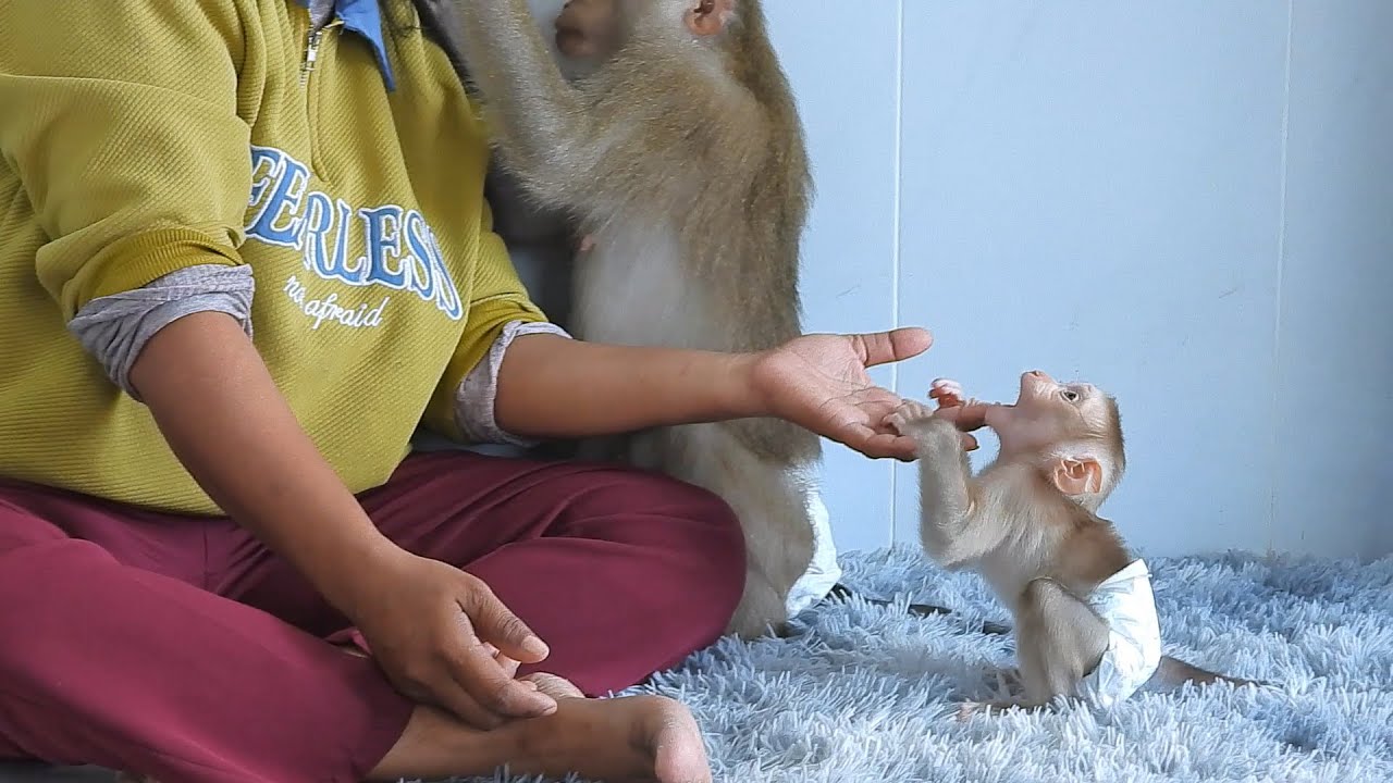 Baby Luka Very Active And Happily Playing With Sister Valen