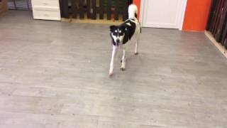 20161006-2 Baileys