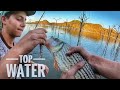TIGER FISHING| Topwater fishing shallow water