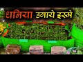 Grow Bag for धनिया !! #coriander @grosva