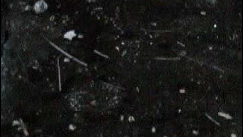 (#46 L&M-YAP) AN ENTIRE FACE FLASHES