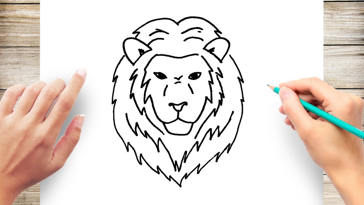 How to Draw a Lion Face Step by Step Easy  YouTube