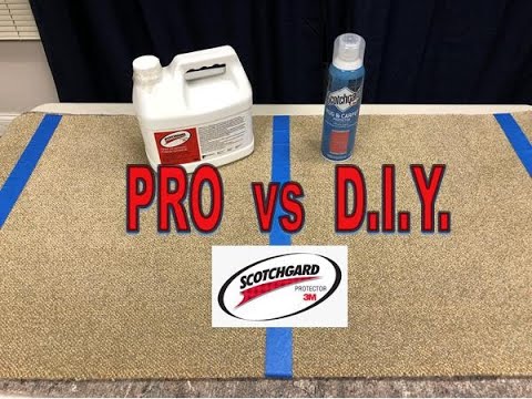 Scotchgard Diy Vs Pro Which Is Better You