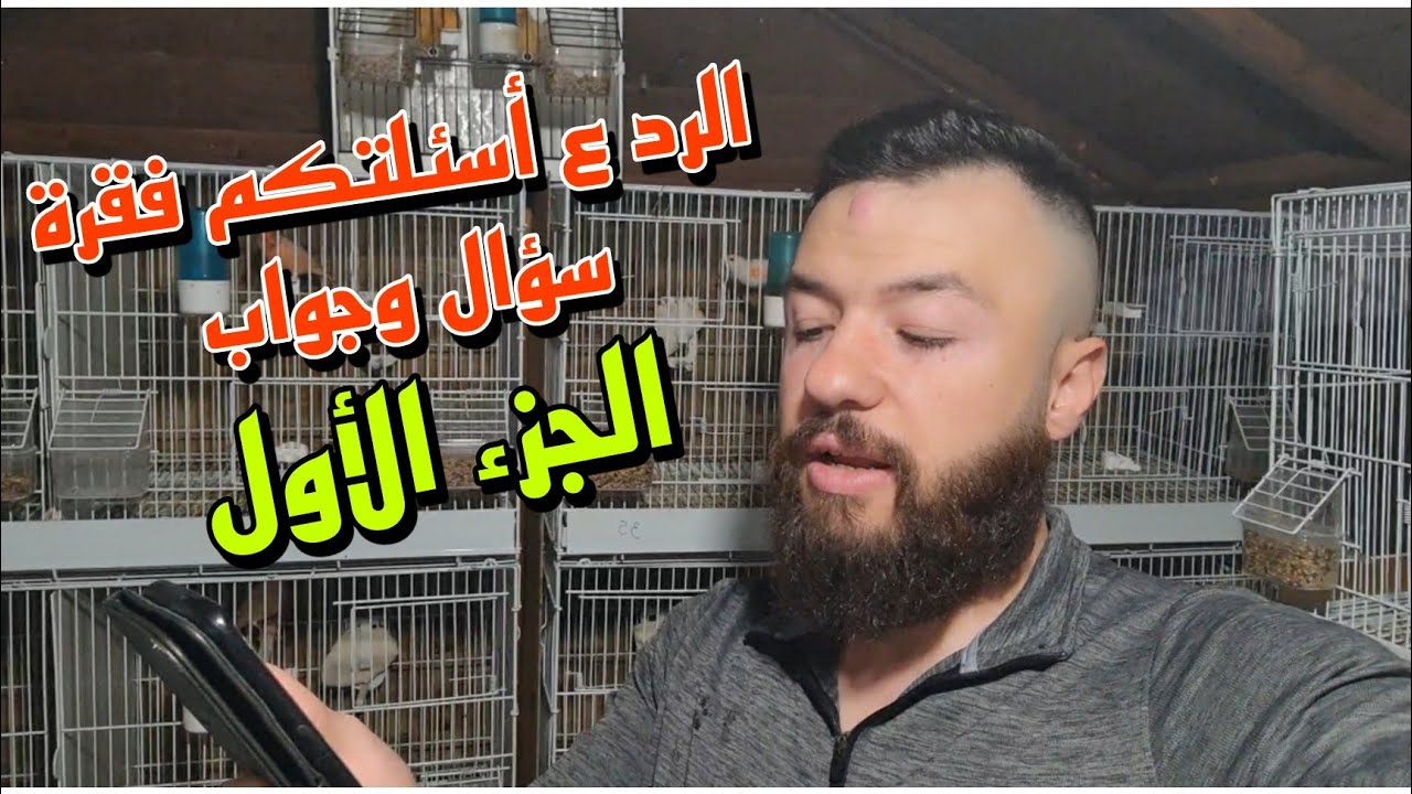 انثى تبيض بارضية القفص&تقديم حمام السباحة بشتاء&تزاوج البنت مع الاب&افضل الخلطات والخضروات &الكانتكس