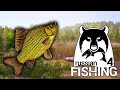 НОЧНАЯ РЫБАЛКА. КРУТИМ УРОВЕНЬ - Russian Fishing 4 (стрим) #3