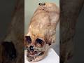 Why did ancient humans try to look like this?