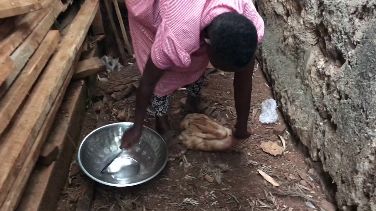 Chinese Woman Killing A Goat / woman kill goat - Google ...