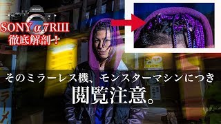 【閲覧注意】絶対にSONY α7R3が買いたくなる動画。【レビュー】
