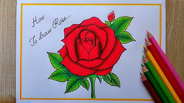 How to draw Rose Step by step| Rose Flower drawing| Valentine