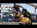 Chop The Dog Is Smart GTA V