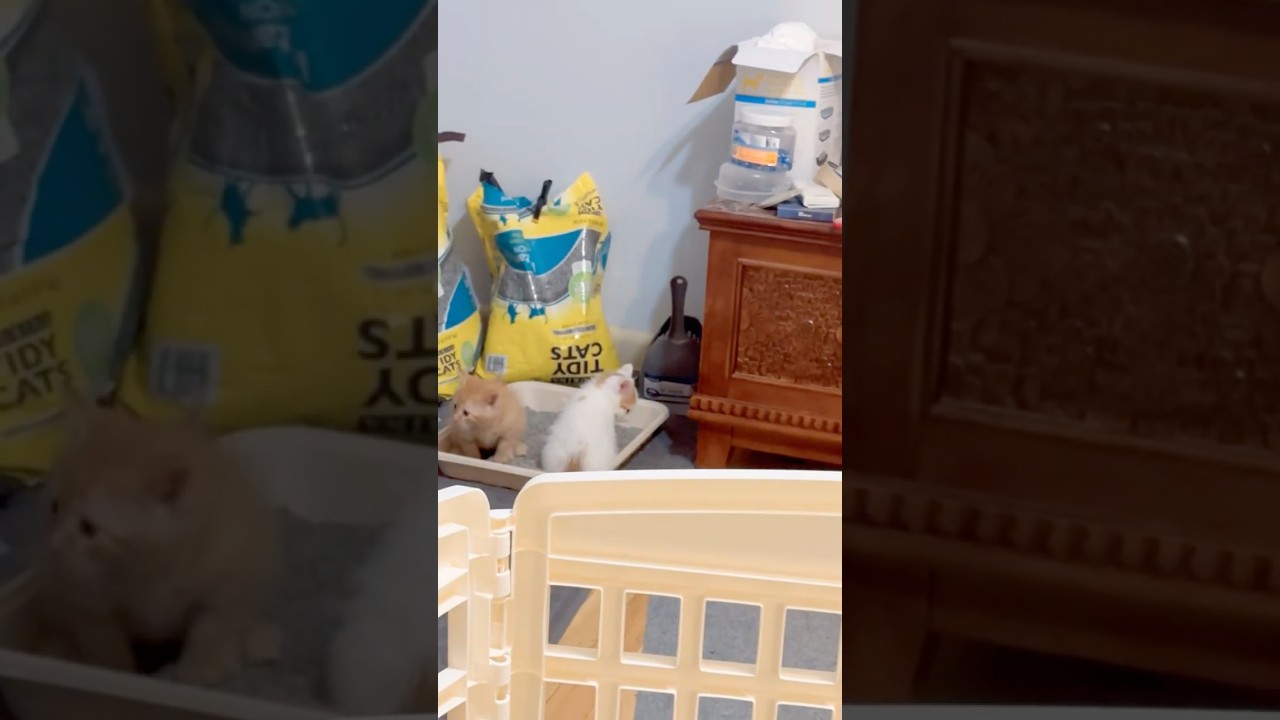 Nadja: Day 42. Potty all the time dance edition 