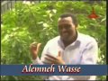 Alemneh Wasse On Mengistu Haile Mariam S Departure
