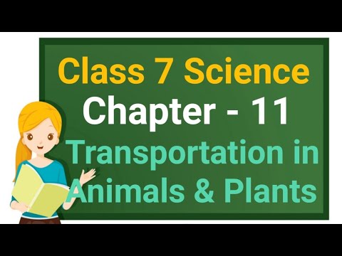 Class 7 Science Chapter 11 "Transportation in Animals and Plants" (Part ...