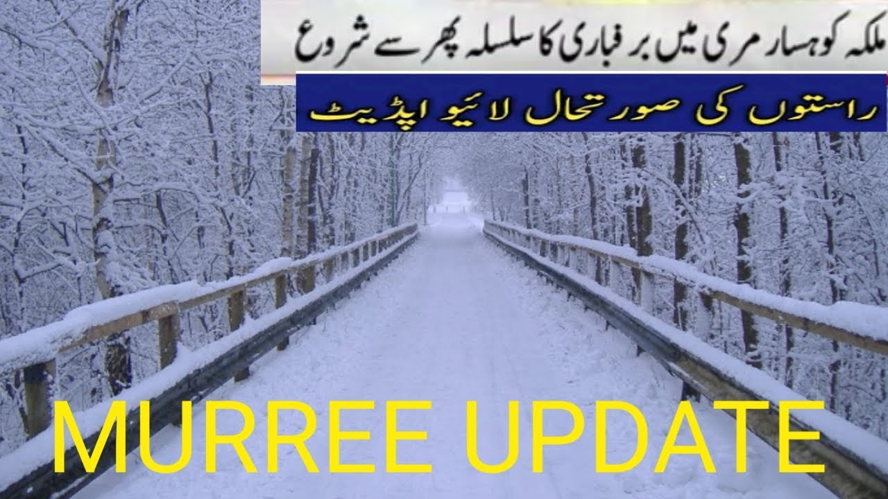 Murree live today | Murree | murree snowfall update| murree weather today Faheem Discovery.world