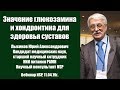 Глюкозамин, хондроитин, МСМ, хондропротекторы для здоровья суставов. Вебинар НСП 11.04.19г.