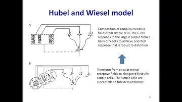 11-785 Spring 23 Lecture 10: Models of vision, Convolutional Neural Networks