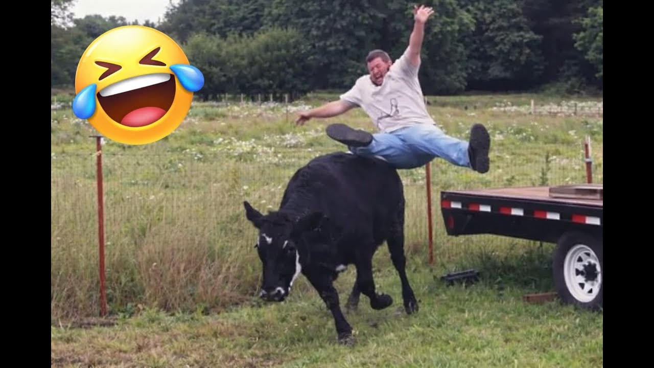 Instant Funny Moments 😂 | Funniest Clips Compilation – Part 1