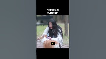 데뷔하고 처음 받아보는 대우 [아일릿]