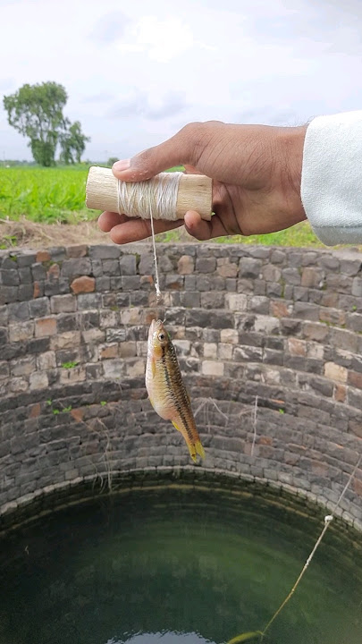 survival skills how to make a fishing hook in the Wild #fishing #camping #outdoors #ytshorts