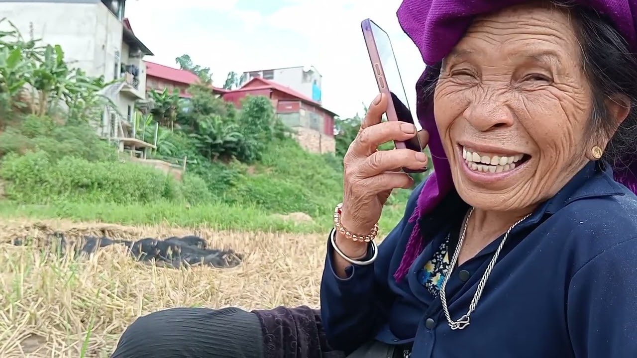 Bà Chung gặt lúa được các cháu xuống giúp .