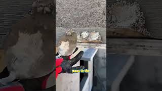 Wall Plastering Mastery Perfecting Every Building Corner#shorts #construction #shortvideo#satisfying