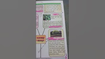 #scienc class ,5 # stbb for the post PST JEST #shorts# shorts#