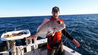 Black Magic DX POINT® hooks explained