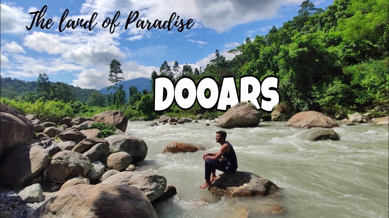 Laliguras picnic spot | Samsing tea garden | Dooars tour 