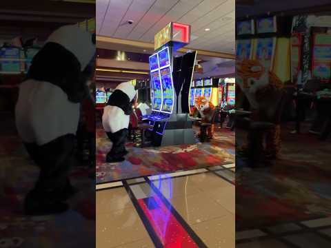 $100/Spin mansion bonus $1 denomination jackpot #bellagio #casino #jackpots