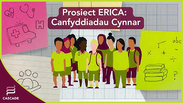 Prosiect ERICA: Canfyddiadau Cynnar | CASCADE Cymru