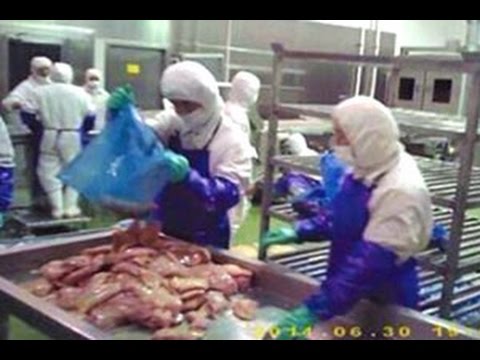 makanan cepat saji ancam kesehatan warga rusia doovi makanan cepat saji ancam kesehatan warga rusia doovi