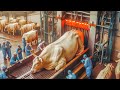 Excellent beef processing factory and beef products  food factory