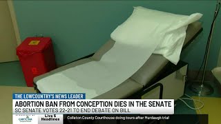 VIDEO: Push to ban abortion from conception dies in SC Senate