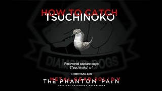 MGSV: TPP - How To Catch The Tsuchinoko