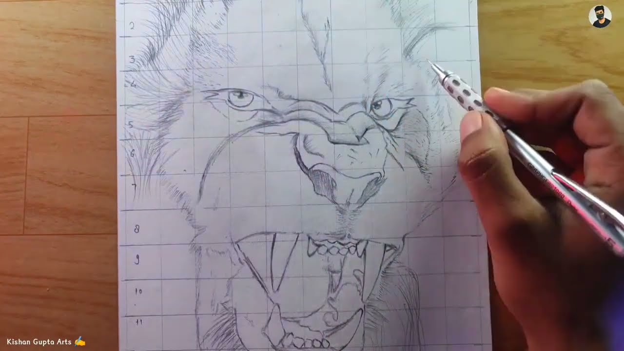 Как нарисовать льва | Контурный рисунок | Пошаговый рисунок для начинающих | 