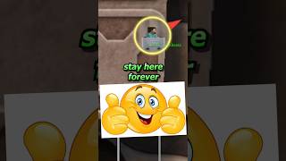 Steve Camping Out of Bounds Forever