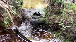 #SC #Perjuangan seorang ayah