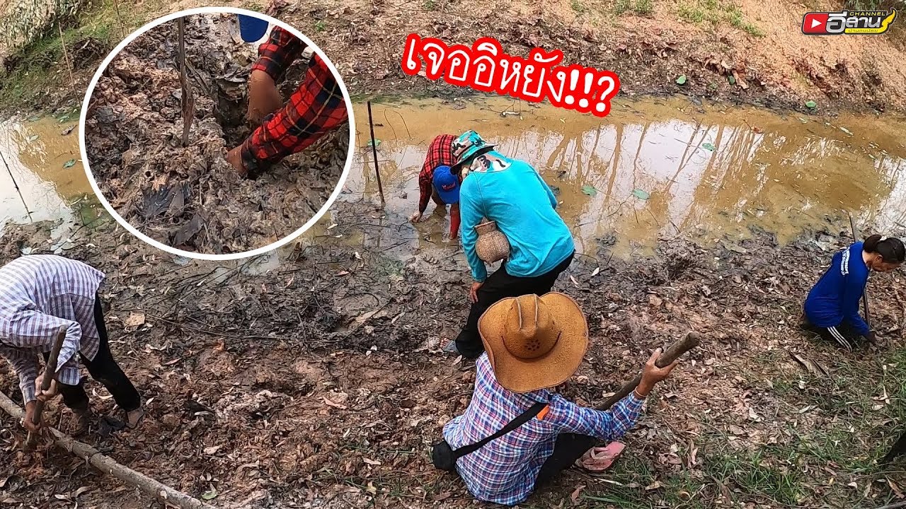 จัดเต็มชุดใหญ่!!? “ต้อนรับแม่น้องไผ่” มาหากบไง หาเขียด หาแทงปลาไหล อยู่คลองห้วยม่วนปานบุญเก้าแสน