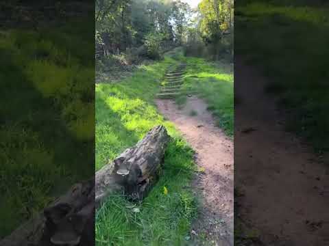 Hike to Nanny’s Rock Kinver Edge part 1