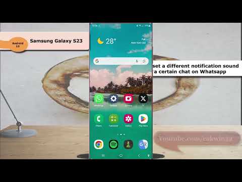 Samsung Galaxy S23 Ultra: How to set a different notification sound for a certain chat on WhatsApp